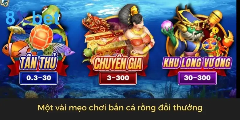 Game Bắn Cá Rồng Đổi Thưởng - Bắn Là Trúng Thưởng Lớn Một vài mẹo chơi bắn cá rồng đổi thưởng 8xbet
